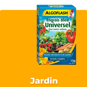 Jardin